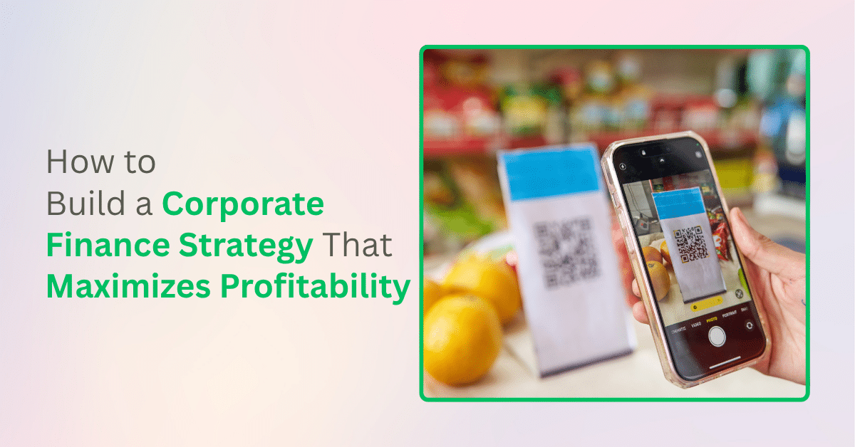How to Build a Corporate Finance Strategy That Maximizes Profitability